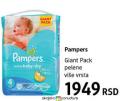 DM market Pelene Pampers Active baby dry giant pack