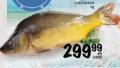 Roda Svež šaran 1 kg
