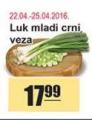 Aman doo Mladi luk crni veza