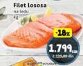 IDEA Losos filet na ledu 1 kg