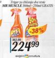 Inter Aman Mr Muscle sredstvo za čišćenje