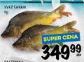 Roda Svež šaran 1kg