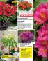 Akcija Floraekspres katalog za leto 2016 39717