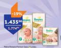 TEMPO Pelene Pampers Premium Care