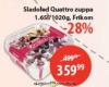 MAXI Frikom Sladoled Quattro Zuppa