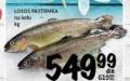 Roda Losos Pastrmka 1 kg