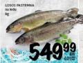 Roda Losos Pastrmka na ledu 1kg