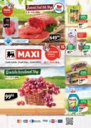 Katalog MAXI akcija 28. jul - 10. avgust 2016