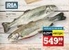 IDEA  Losos Pastrmka