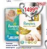 Dis market Pampers Pelene