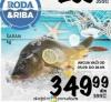 Roda Rečna riba Šaran