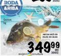 Roda Šaran 1kg