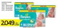 Roda Pampers Active baby dry pelene