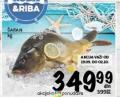 Roda Šaran rečna riba 1kg