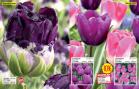 Akcija Floraekspres katalog za jesen 2016 44642