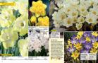 Akcija Floraekspres katalog za jesen 2016 44653