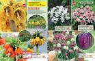 Akcija Floraekspres katalog za jesen 2016 44655
