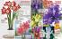 Akcija Floraekspres katalog za jesen 2016 44656