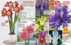 Akcija Floraekspres katalog za jesen 2016 44656