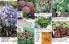 Akcija Floraekspres katalog za jesen 2016 44657