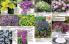 Akcija Floraekspres katalog za jesen 2016 44658