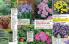 Akcija Floraekspres katalog za jesen 2016 44659