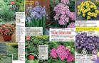 Akcija Floraekspres katalog za jesen 2016 44659