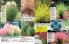 Akcija Floraekspres katalog za jesen 2016 44662
