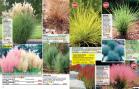 Akcija Floraekspres katalog za jesen 2016 44662