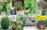 Akcija Floraekspres katalog za jesen 2016 44663
