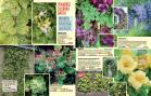 Akcija Floraekspres katalog za jesen 2016 44670