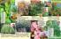 Akcija Floraekspres katalog za jesen 2016 44671