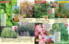 Akcija Floraekspres katalog za jesen 2016 44671