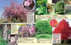Akcija Floraekspres katalog za jesen 2016 44672