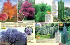 Akcija Floraekspres katalog za jesen 2016 44673