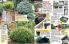 Akcija Floraekspres katalog za jesen 2016 44674