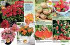 Akcija Floraekspres katalog za jesen 2016 44677