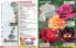Akcija Floraekspres katalog za jesen 2016 44678