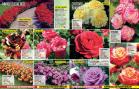 Akcija Floraekspres katalog za jesen 2016 44680