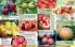 Akcija Floraekspres katalog za jesen 2016 44684