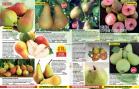 Akcija Floraekspres katalog za jesen 2016 44685