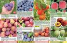 Akcija Floraekspres katalog za jesen 2016 44686