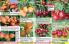 Akcija Floraekspres katalog za jesen 2016 44687