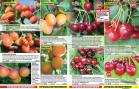 Akcija Floraekspres katalog za jesen 2016 44687