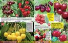 Akcija Floraekspres katalog za jesen 2016 44688