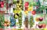 Akcija Floraekspres katalog za jesen 2016 44693
