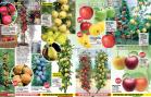 Akcija Floraekspres katalog za jesen 2016 44693