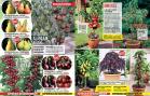 Akcija Floraekspres katalog za jesen 2016 44694