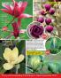 Akcija Floraekspres katalog za jesen 2016 44696