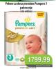 Univerexport Pampers Premium Care pelene